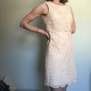J CREW light pink lace overlay dress